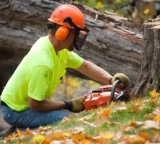 tree services Glasco